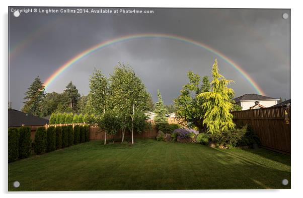 Rainbow garden Acrylic by Leighton Collins