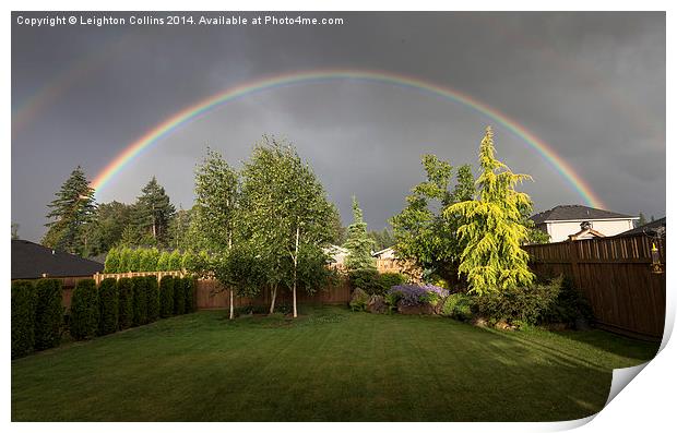 Rainbow garden Print by Leighton Collins