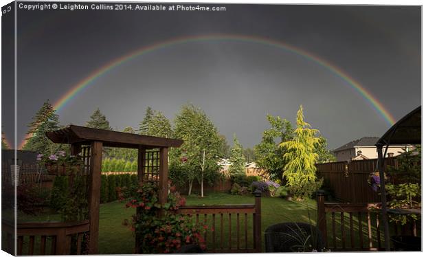 rainbow over garden Canvas Print by Leighton Collins