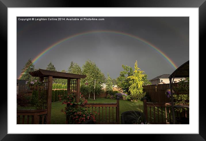 rainbow over garden Framed Mounted Print by Leighton Collins