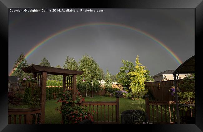 rainbow over garden Framed Print by Leighton Collins