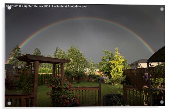 rainbow over garden Acrylic by Leighton Collins