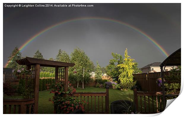 rainbow over garden Print by Leighton Collins
