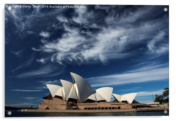 Sydney Opera House with dramatic sky Acrylic by Sheila Smart