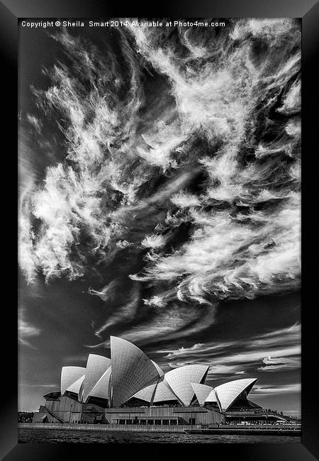 Sydney Opera House in monochrome Framed Print by Sheila Smart