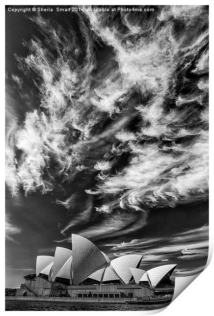 Sydney Opera House in monochrome Print by Sheila Smart
