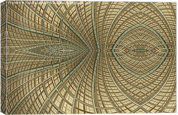 Enmeshed Canvas Print by John Edwards