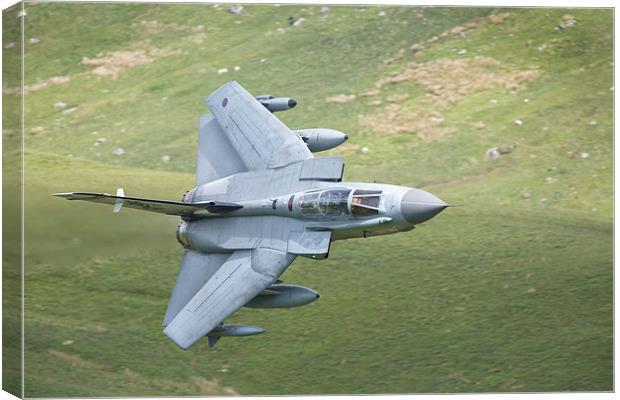 41 Squadron Tornado Canvas Print by Rory Trappe