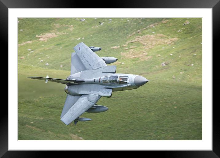 41 Squadron Tornado Framed Mounted Print by Rory Trappe