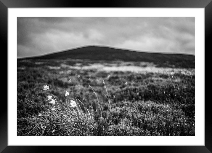 ...from Bog to Summit Framed Mounted Print by Douglas McMann