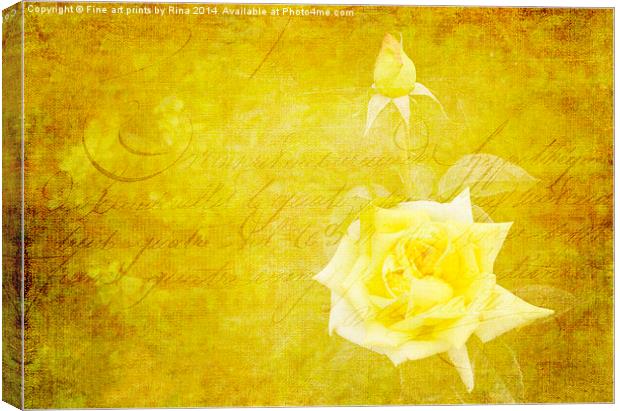 Vintage Rose Canvas Print by Fine art by Rina