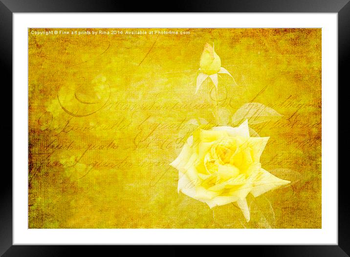 Vintage Rose Framed Mounted Print by Fine art by Rina