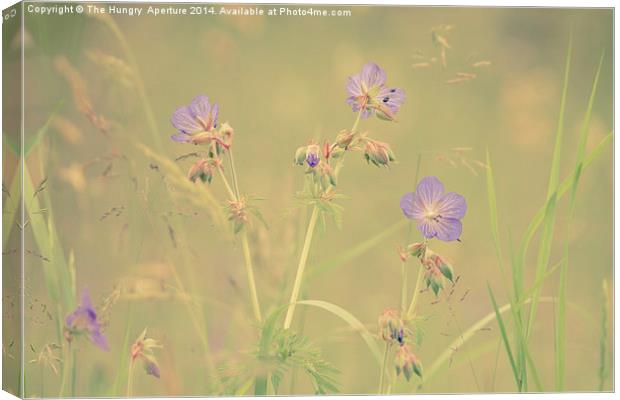 Wild Violet Canvas Print by Stef B