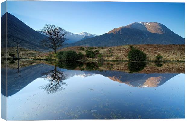 Glen Etive in Spring Canvas Print by Stephen Taylor