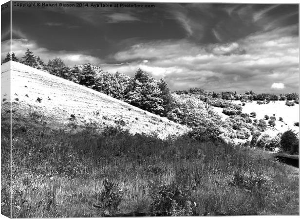 The black and white valley Canvas Print by Robert Gipson