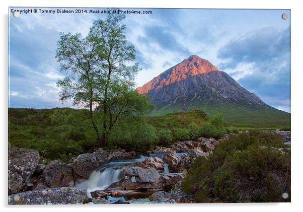 Buachaille Etive Mor Acrylic by Tommy Dickson