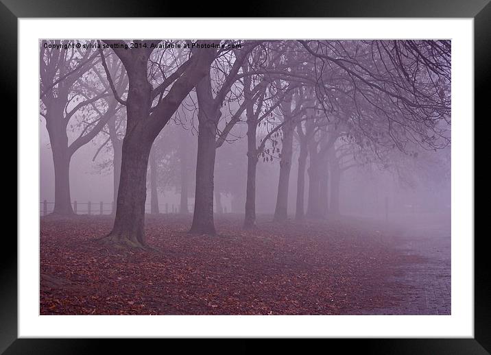 Autumn Mist Framed Mounted Print by sylvia scotting