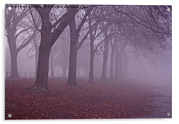 Autumn Mist Acrylic by sylvia scotting