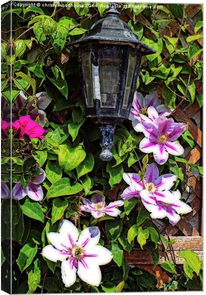 clematis around a lantern Canvas Print by chrissy woodhouse