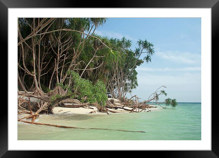 Tropical Beach Framed Mounted Print by Michael Hopes
