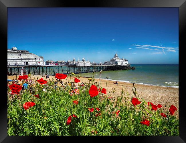 Eastbourne Pier and poppies Framed Print by Phil Clements