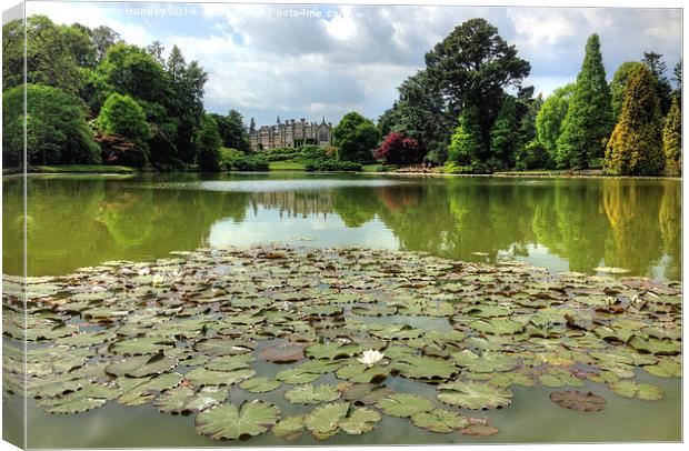 Sheffield Park Canvas Print by Andy Huntley