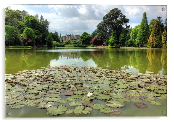 Sheffield Park Acrylic by Andy Huntley