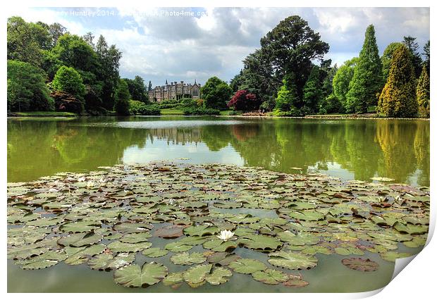 Sheffield Park Print by Andy Huntley