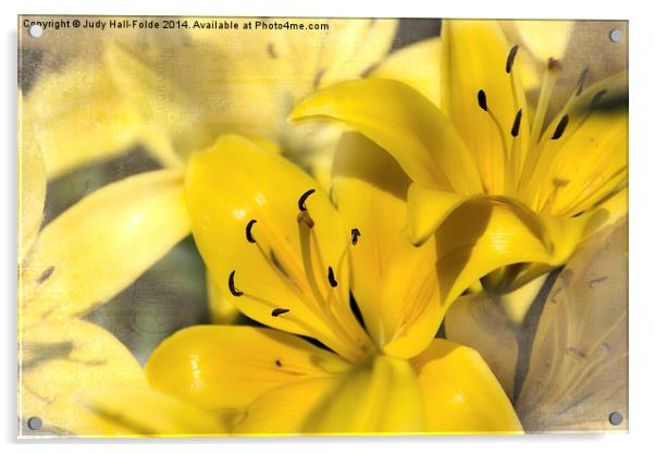 Bright Yellow Acrylic by Judy Hall-Folde