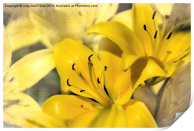 Bright Yellow Print by Judy Hall-Folde
