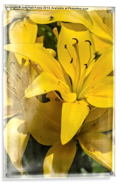 Summer Lilies Acrylic by Judy Hall-Folde