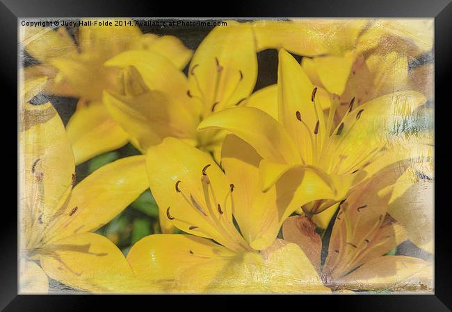 Yellow Lilies Framed Print by Judy Hall-Folde