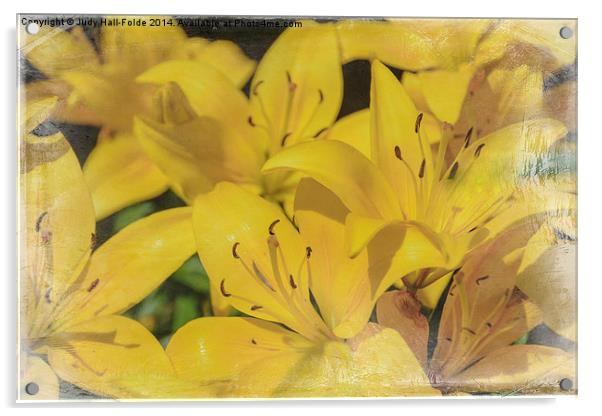 Yellow Lilies Acrylic by Judy Hall-Folde