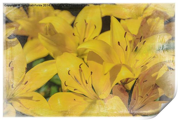 Yellow Lilies Print by Judy Hall-Folde