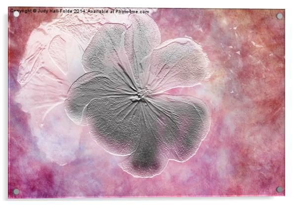 Fossil Flower Acrylic by Judy Hall-Folde