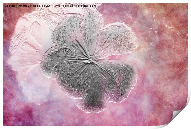 Fossil Flower Print by Judy Hall-Folde