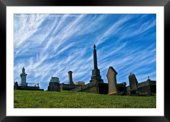 Cemetery at Shoalhaven Framed Mounted Print by Sheila Smart