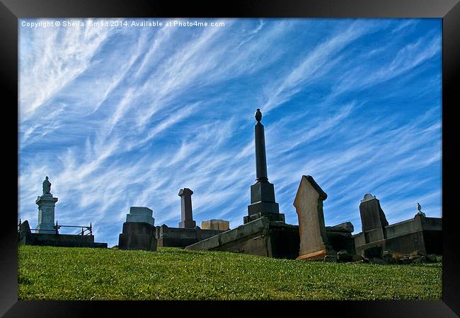 Cemetery at Shoalhaven Framed Print by Sheila Smart