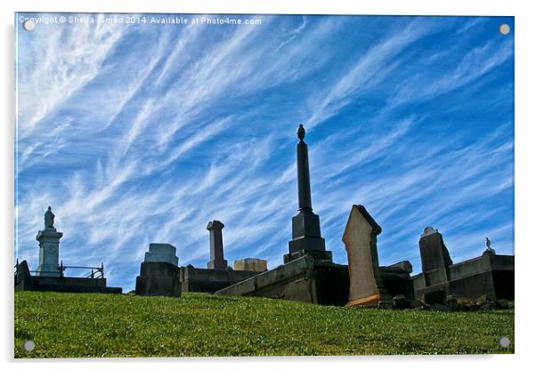 Cemetery at Shoalhaven Acrylic by Sheila Smart