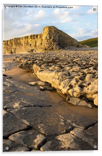 Nash Point portrait Acrylic by Dan Davidson