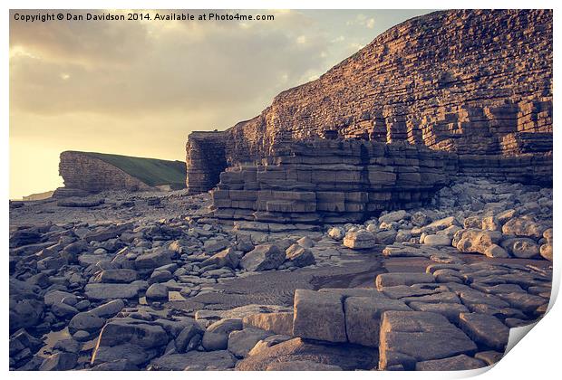 Nash Point Beach Print by Dan Davidson