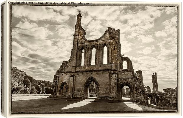 The Serene Beauty of Byland Abbey Canvas Print by Trevor Camp