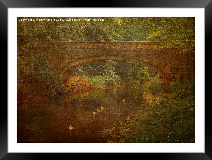 Bridge over the Stream Framed Mounted Print by Martyn Arnold