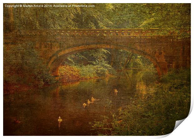 Bridge over the Stream Print by Martyn Arnold