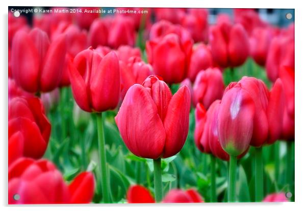 Red Tulips Acrylic by Karen Martin
