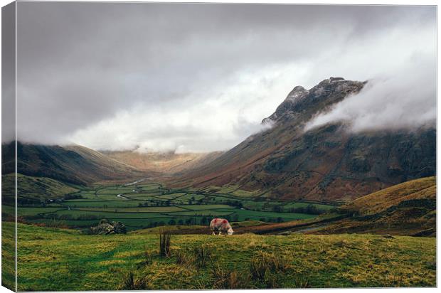 Langdale Valley and Langdale Pikes in cloud. Canvas Print by Liam Grant