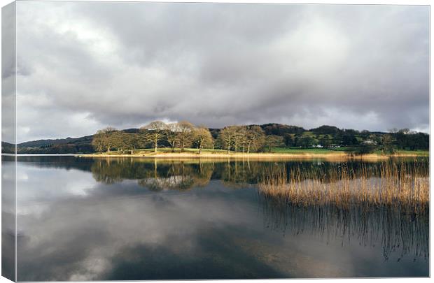 Sunlight and reflections on Esthwaite Water. Canvas Print by Liam Grant