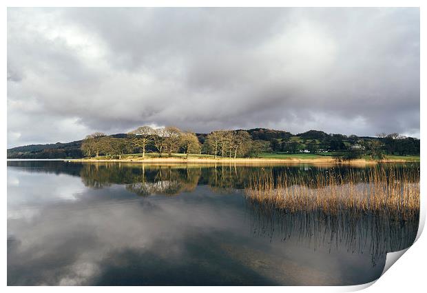 Sunlight and reflections on Esthwaite Water. Print by Liam Grant