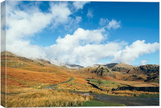 Path to the Old Man of Coniston. Canvas Print by Liam Grant