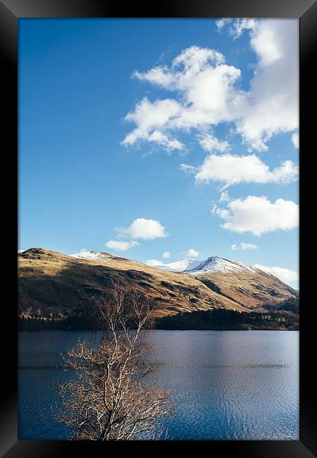 Sunlit trees on the shore of Thirlmere. Framed Print by Liam Grant